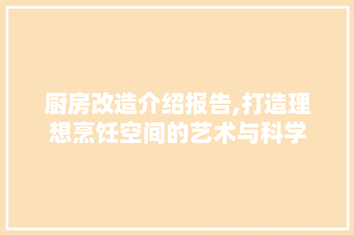 厨房改造介绍报告,打造理想烹饪空间的艺术与科学
