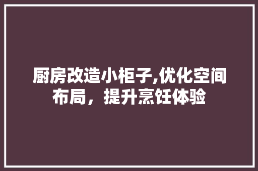 厨房改造小柜子,优化空间布局，提升烹饪体验