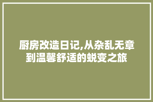 厨房改造日记,从杂乱无章到温馨舒适的蜕变之旅