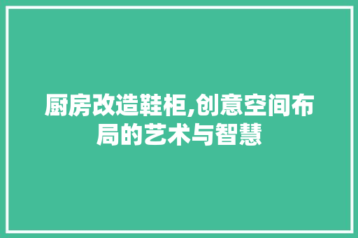 厨房改造鞋柜,创意空间布局的艺术与智慧