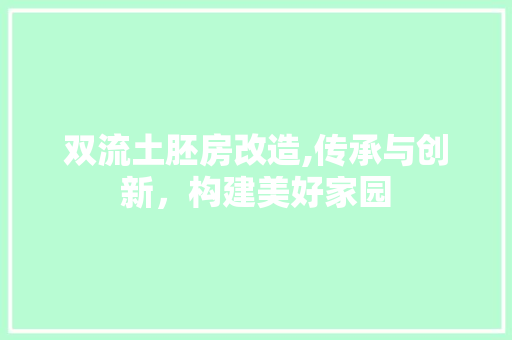 双流土胚房改造,传承与创新，构建美好家园