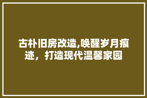 古朴旧房改造,唤醒岁月痕迹，打造现代温馨家园