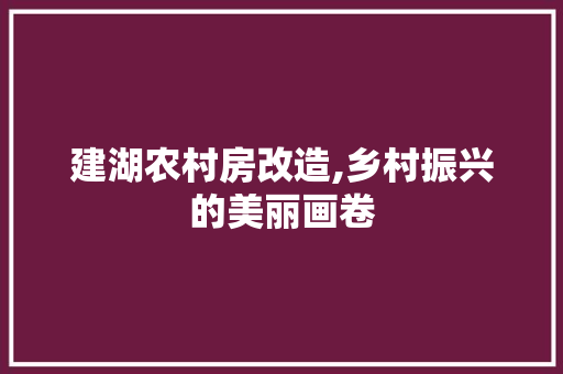 建湖农村房改造,乡村振兴的美丽画卷