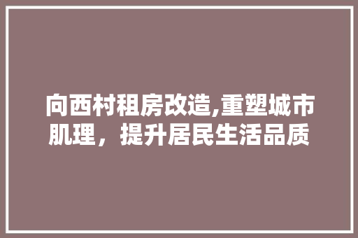 向西村租房改造,重塑城市肌理，提升居民生活品质