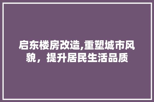 启东楼房改造,重塑城市风貌，提升居民生活品质