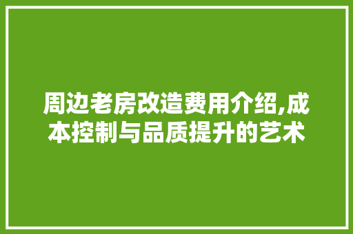 周边老房改造费用介绍,成本控制与品质提升的艺术