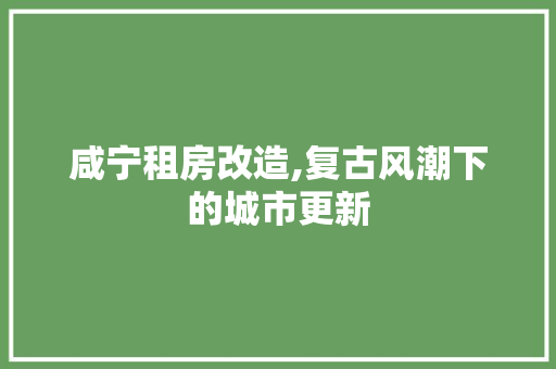 咸宁租房改造,复古风潮下的城市更新