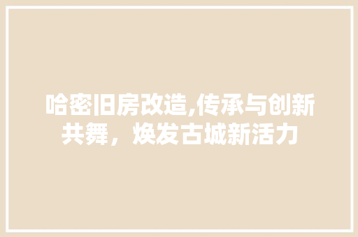 哈密旧房改造,传承与创新共舞，焕发古城新活力