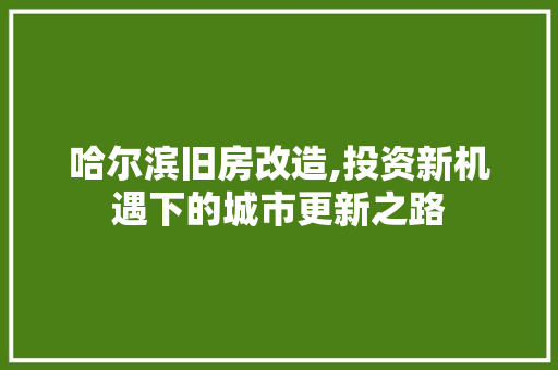 哈尔滨旧房改造,投资新机遇下的城市更新之路