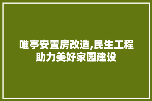 唯亭安置房改造,民生工程助力美好家园建设