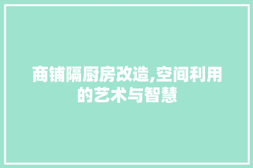 商铺隔厨房改造,空间利用的艺术与智慧