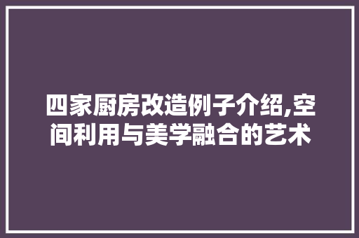 四家厨房改造例子介绍,空间利用与美学融合的艺术