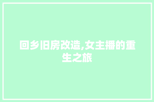 回乡旧房改造,女主播的重生之旅