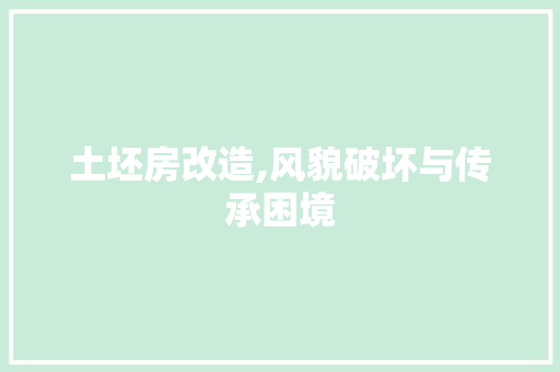 土坯房改造,风貌破坏与传承困境