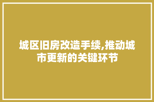 城区旧房改造手续,推动城市更新的关键环节
