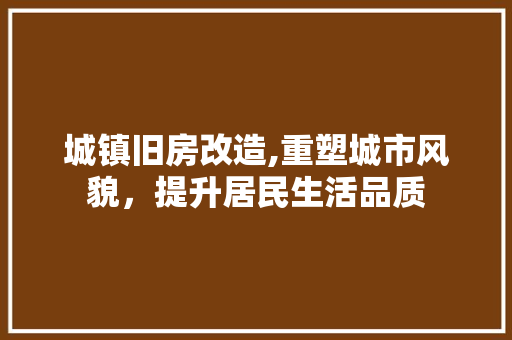 城镇旧房改造,重塑城市风貌，提升居民生活品质