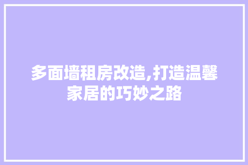 多面墙租房改造,打造温馨家居的巧妙之路