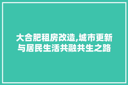 大合肥租房改造,城市更新与居民生活共融共生之路