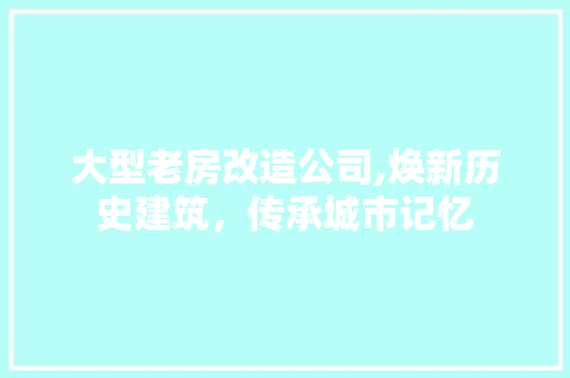 大型老房改造公司,焕新历史建筑，传承城市记忆