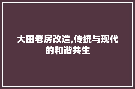 大田老房改造,传统与现代的和谐共生