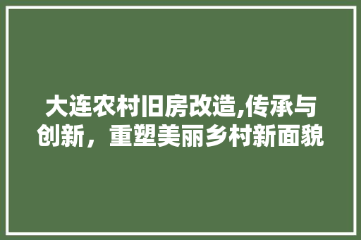 大连农村旧房改造,传承与创新，重塑美丽乡村新面貌
