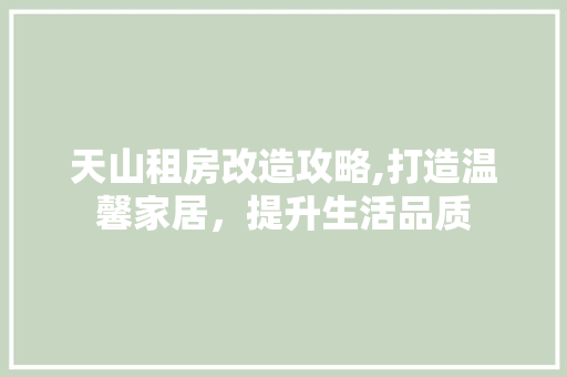 天山租房改造攻略,打造温馨家居，提升生活品质