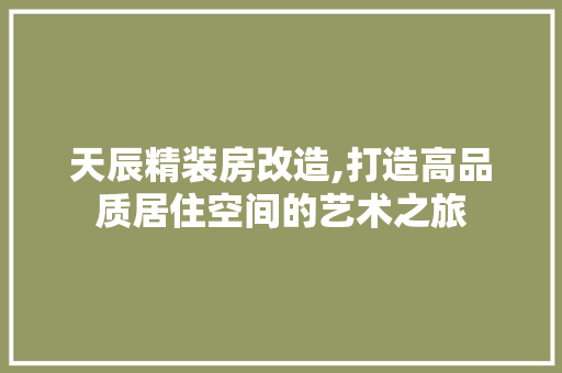 天辰精装房改造,打造高品质居住空间的艺术之旅