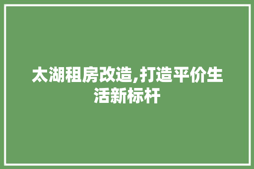 太湖租房改造,打造平价生活新标杆