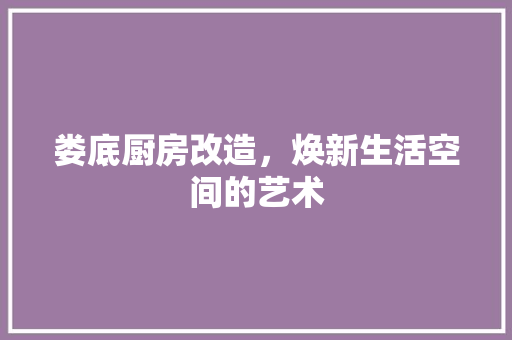 娄底厨房改造，焕新生活空间的艺术