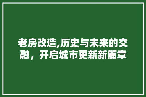 老房改造,历史与未来的交融，开启城市更新新篇章