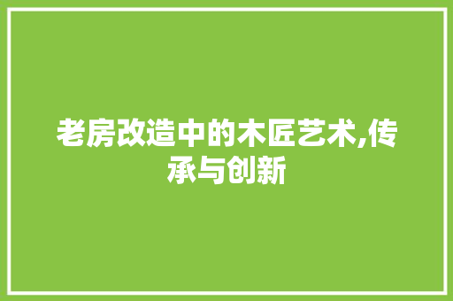 老房改造中的木匠艺术,传承与创新