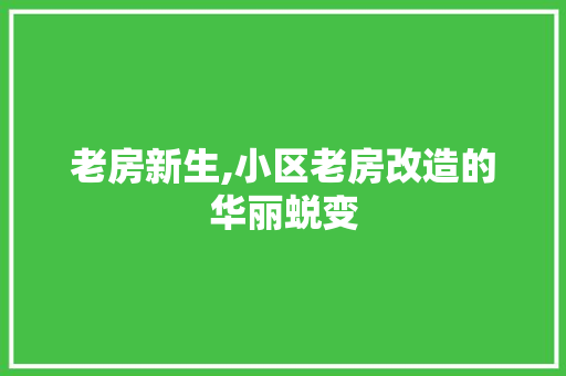 老房新生,小区老房改造的华丽蜕变