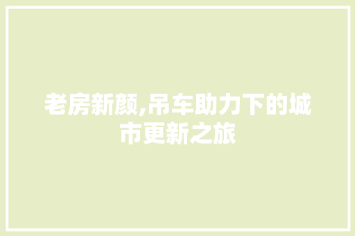 老房新颜,吊车助力下的城市更新之旅
