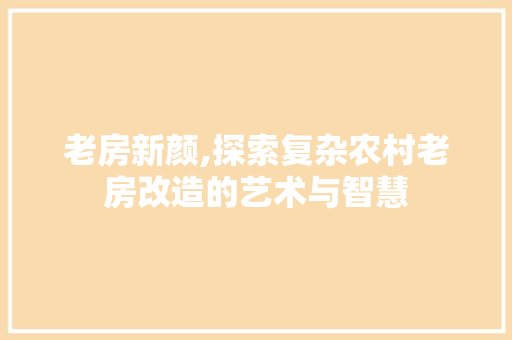 老房新颜,探索复杂农村老房改造的艺术与智慧