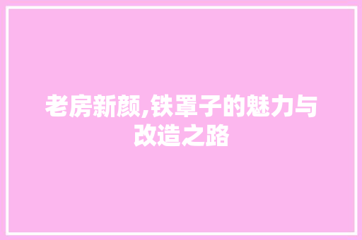 老房新颜,铁罩子的魅力与改造之路