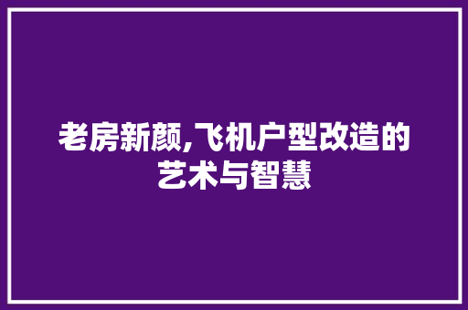 老房新颜,飞机户型改造的艺术与智慧