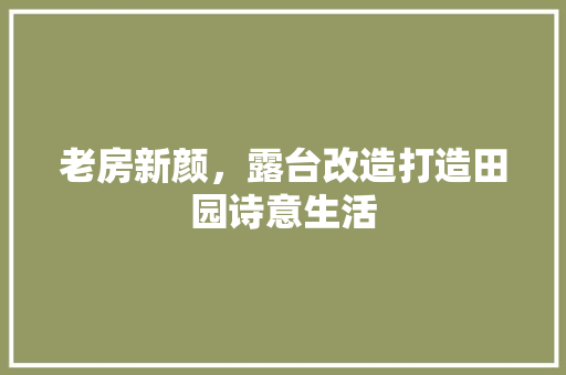 老房新颜，露台改造打造田园诗意生活