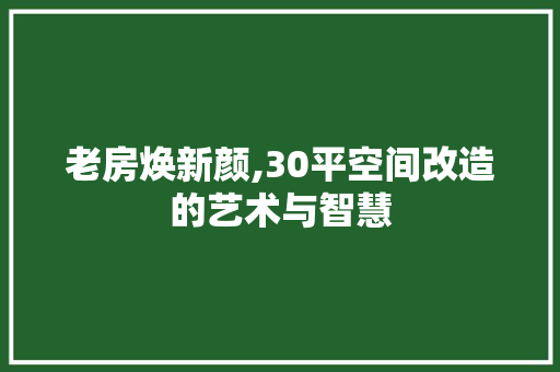 老房焕新颜,30平空间改造的艺术与智慧