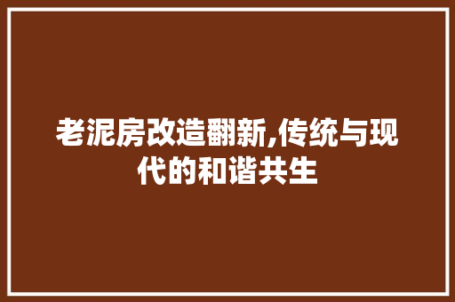 老泥房改造翻新,传统与现代的和谐共生