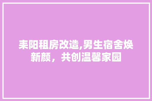 耒阳租房改造,男生宿舍焕新颜，共创温馨家园