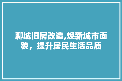 聊城旧房改造,焕新城市面貌，提升居民生活品质