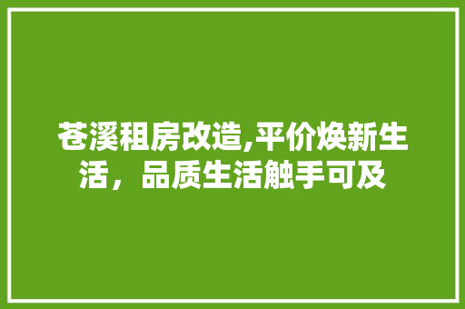 苍溪租房改造,平价焕新生活，品质生活触手可及