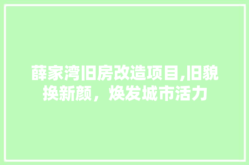 薛家湾旧房改造项目,旧貌换新颜，焕发城市活力