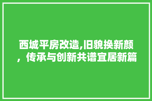 西城平房改造,旧貌换新颜，传承与创新共谱宜居新篇