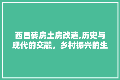 西昌砖房土房改造,历史与现代的交融，乡村振兴的生动方法