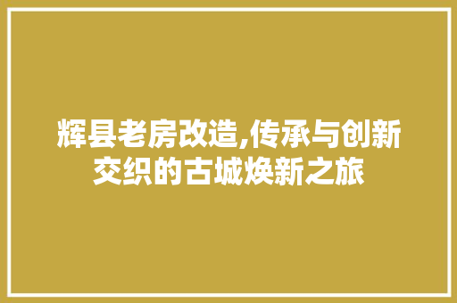 辉县老房改造,传承与创新交织的古城焕新之旅