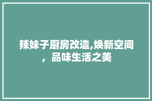 辣妹子厨房改造,焕新空间，品味生活之美