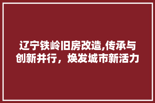 辽宁铁岭旧房改造,传承与创新并行，焕发城市新活力
