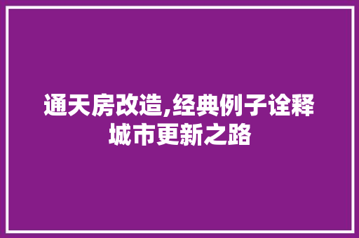 通天房改造,经典例子诠释城市更新之路