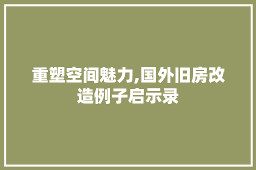 重塑空间魅力,国外旧房改造例子启示录